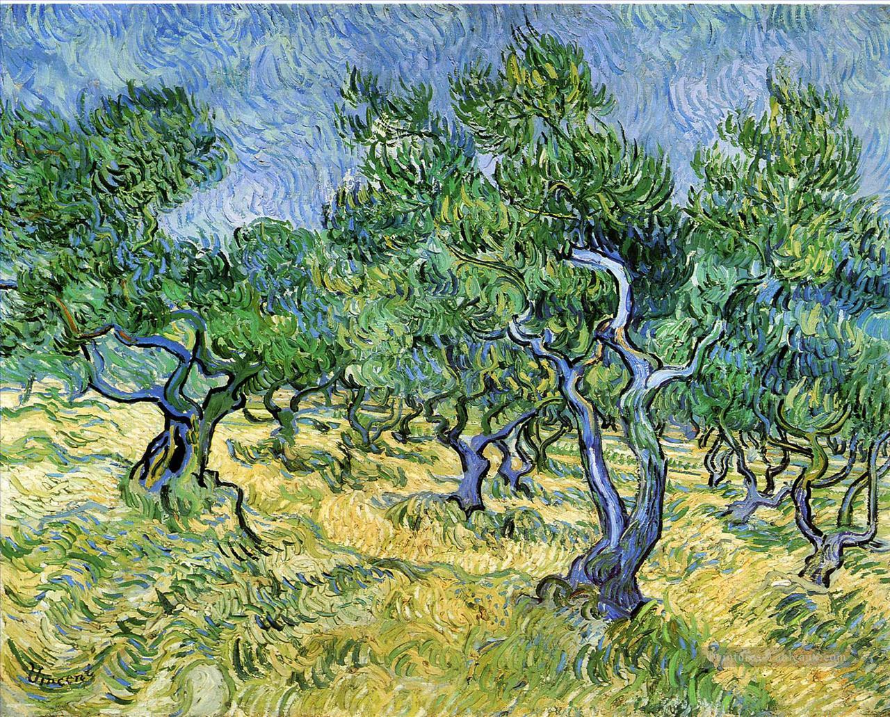 Olive Grove Vincent van Gogh Peintures à l'huile